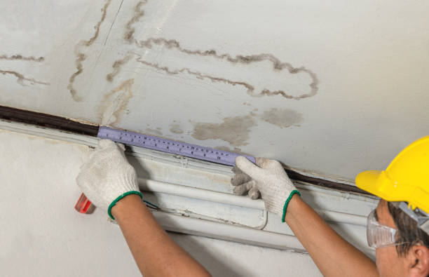 Reliable Structural Drying contractor in Bristol, NH by Water Damage Irwin